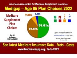 Medicare insurance buyer statistics 2022