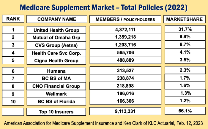 Top Medigap Insurers 2024