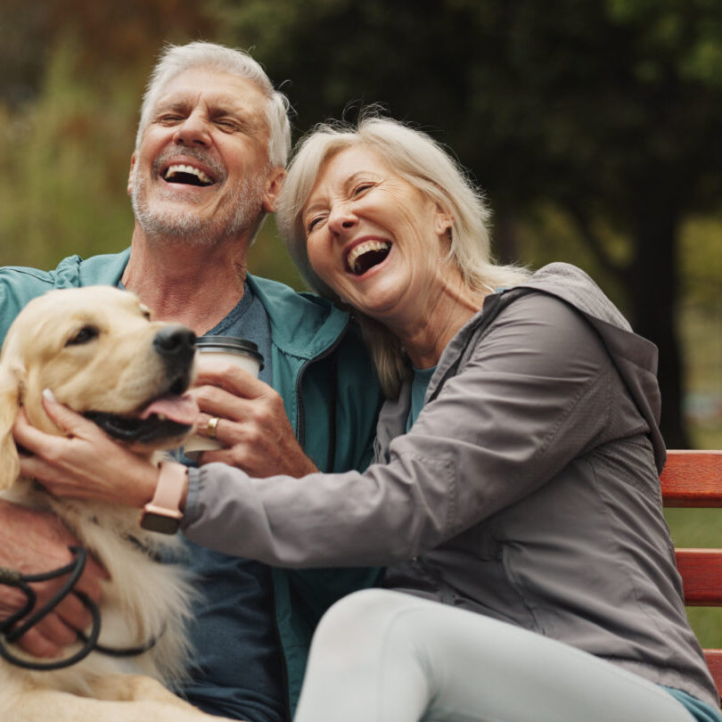 Dog, park and old couple on bench, funny and conversation with animal lover. Outdoor, pet and happy.